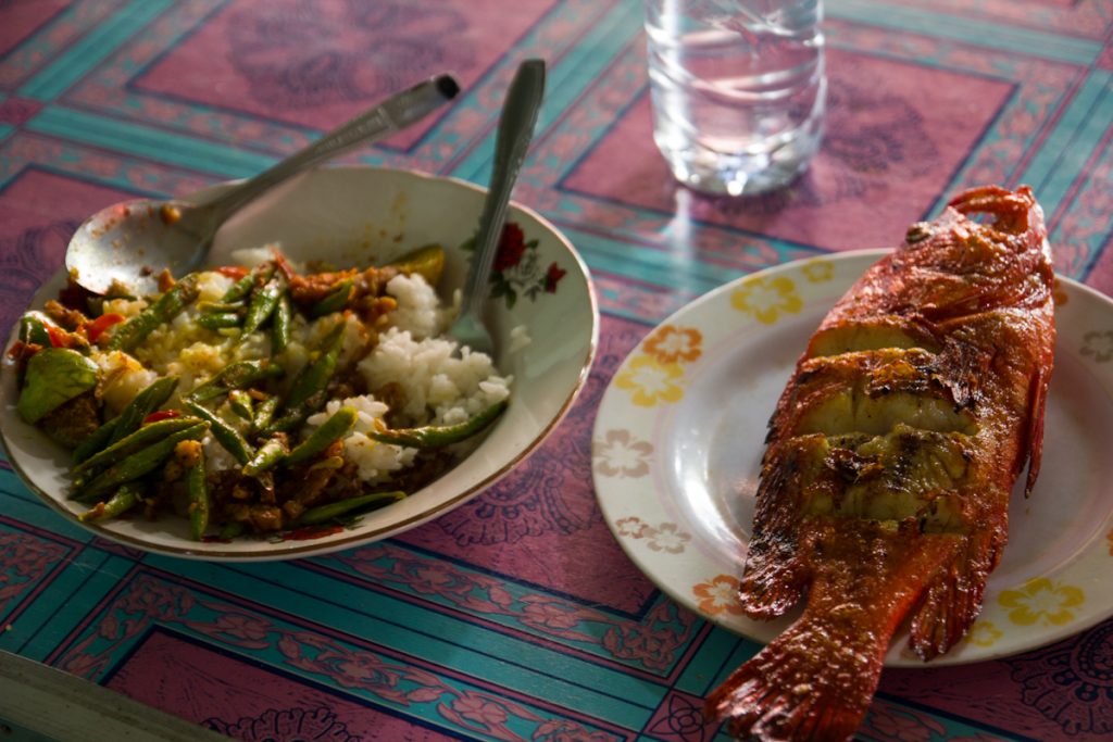 Fish Harbor Lombok