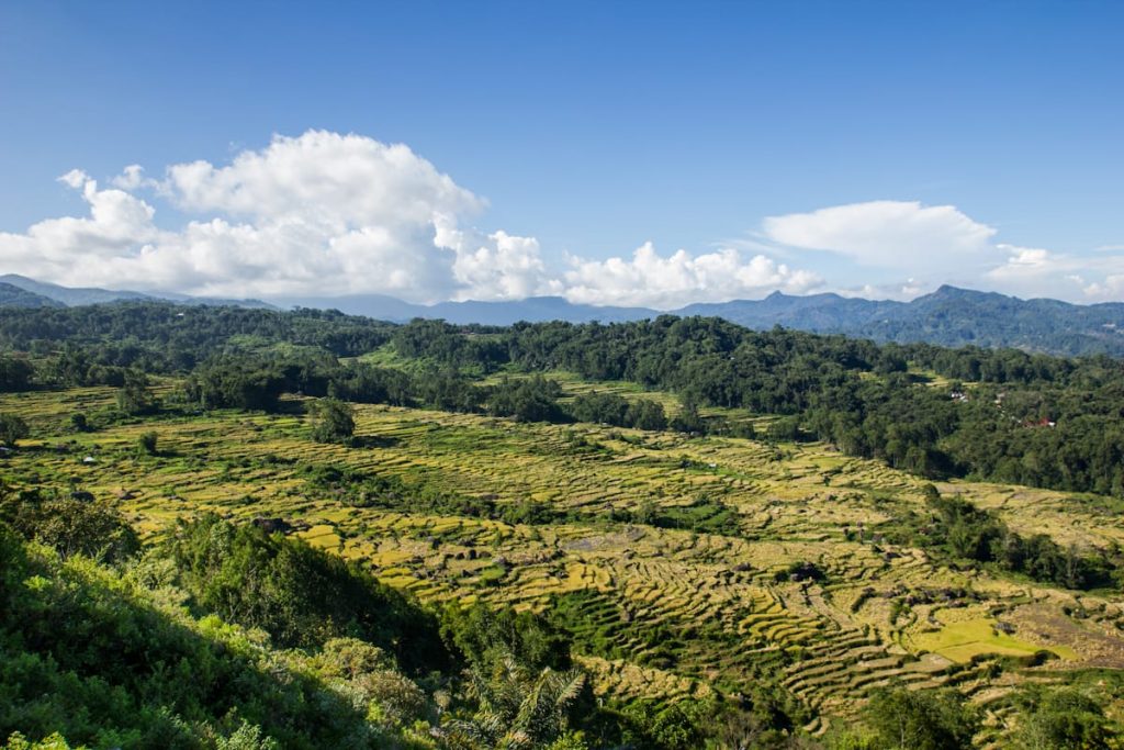 Tinimbayo landscape Toraja