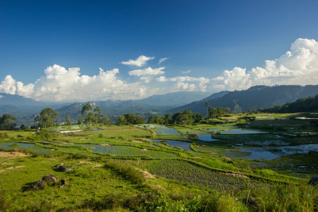 Batutumonga Toraja