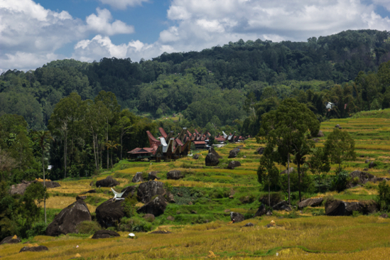 Tana Toraja