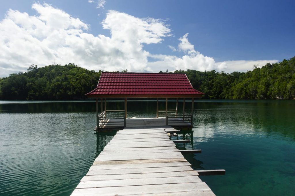 Jellyfish Lake Togean