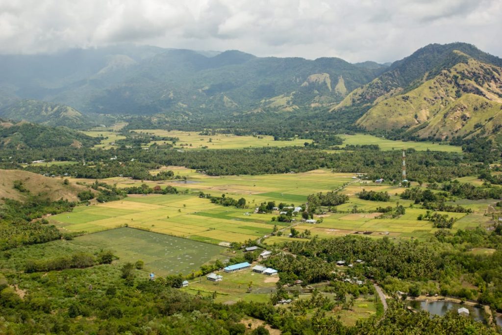 Tanjung Salib Koalisia