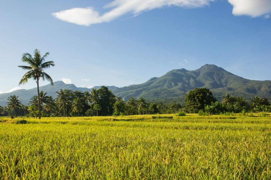 Gunung Egon