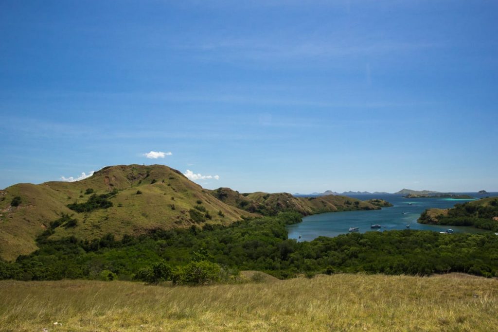 Rinca island landscape