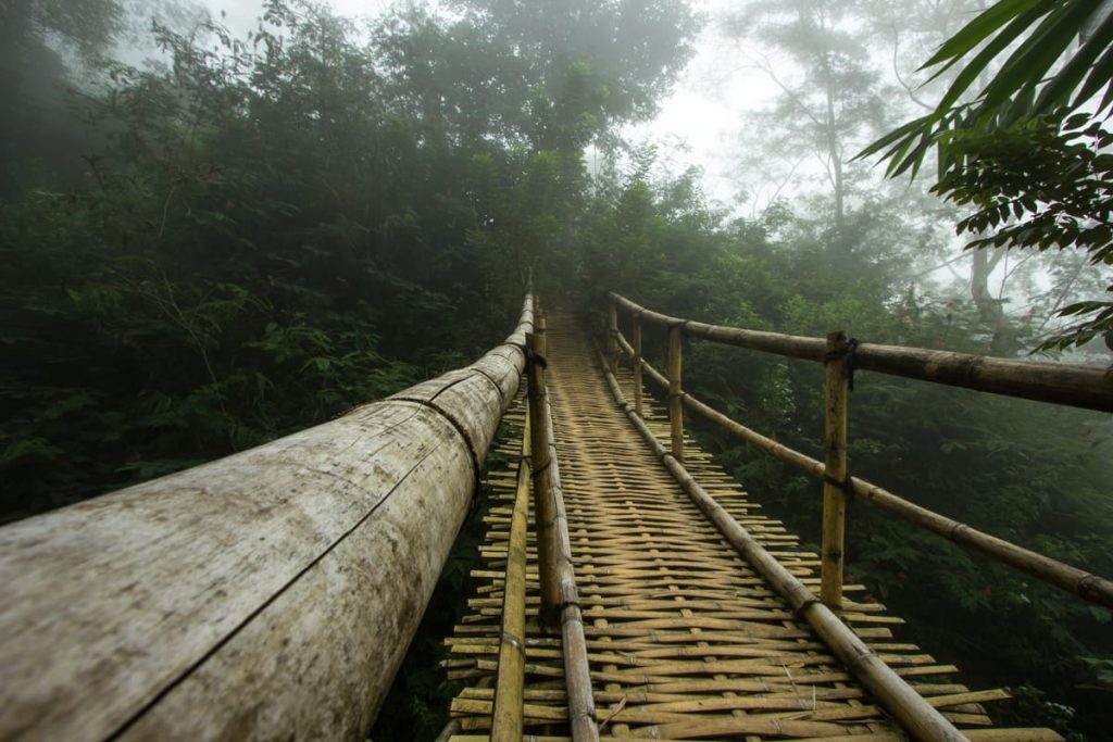 Wae Rebo hike