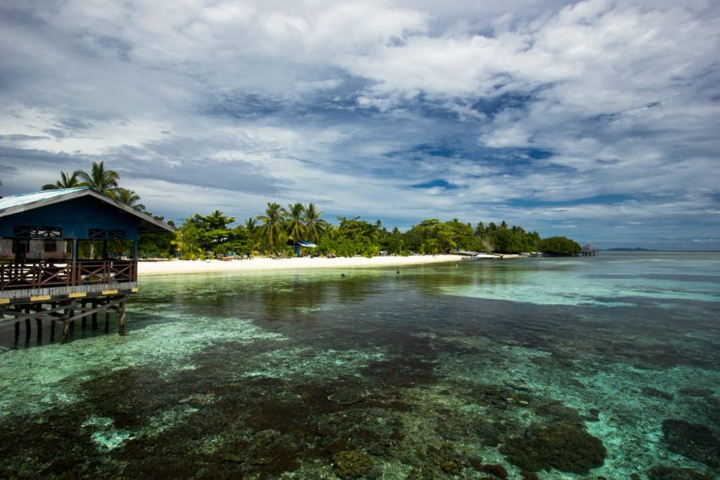 Arborek Raja Ampat