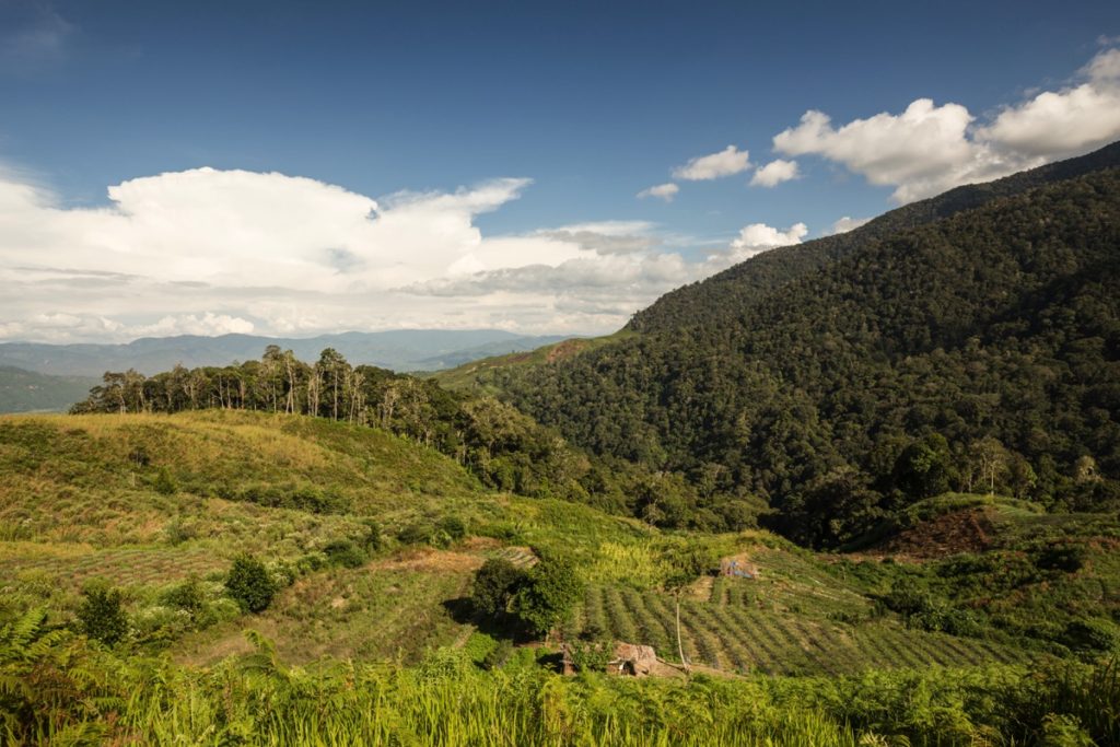 Kedah Leuser