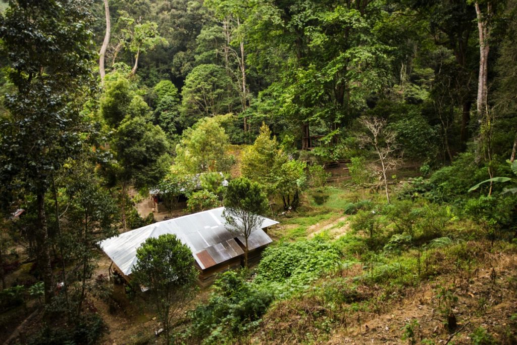 Kedah Rainforest Lodges