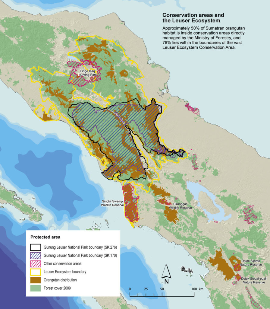 Conservation areas and the Leuser ecosystem