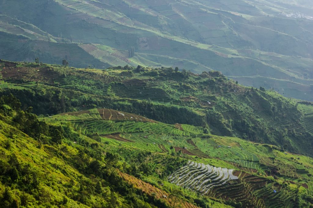 Dieng Sikunir