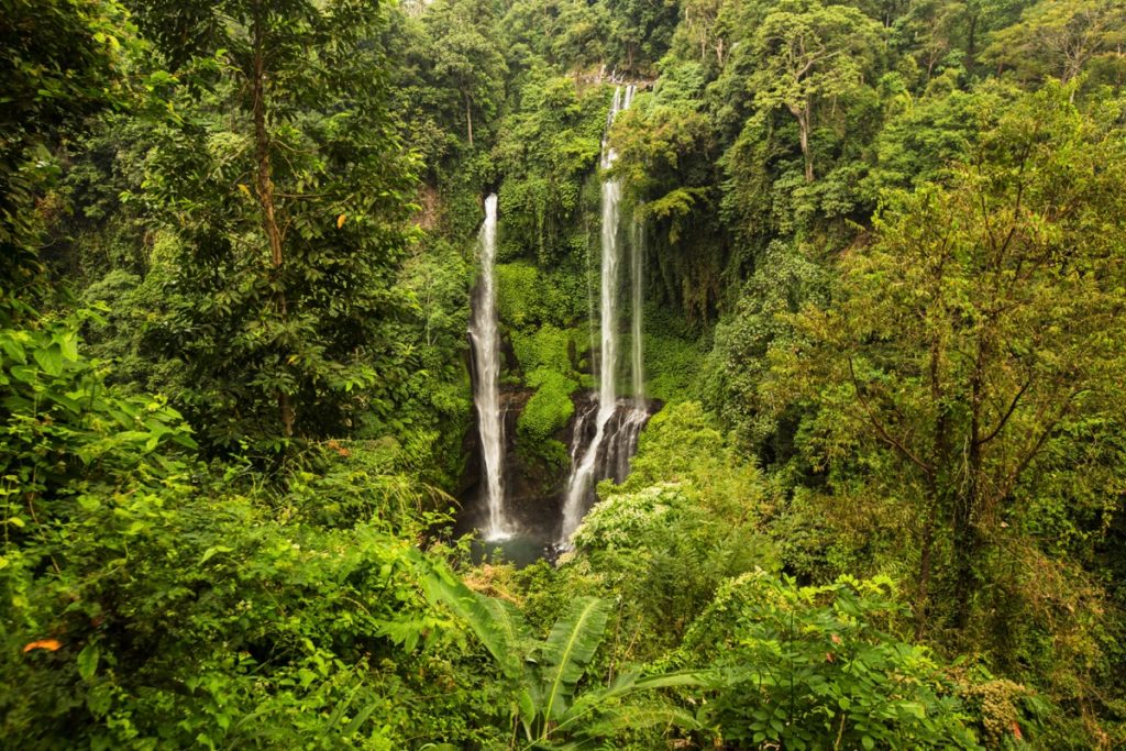 Sekumpul waterfall Bali