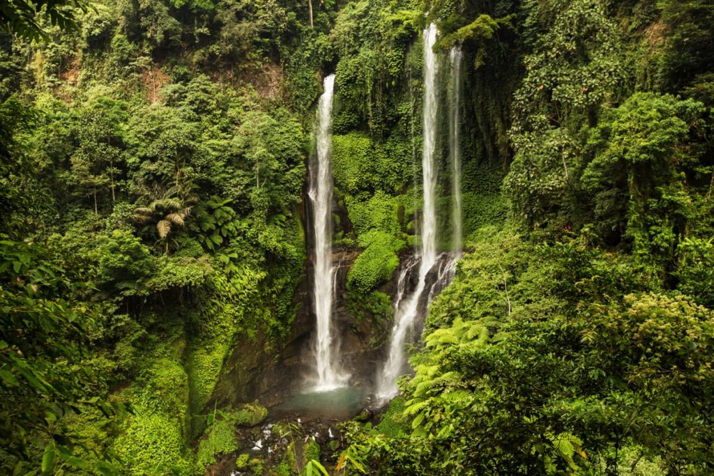 Sekumpul waterfall Bali