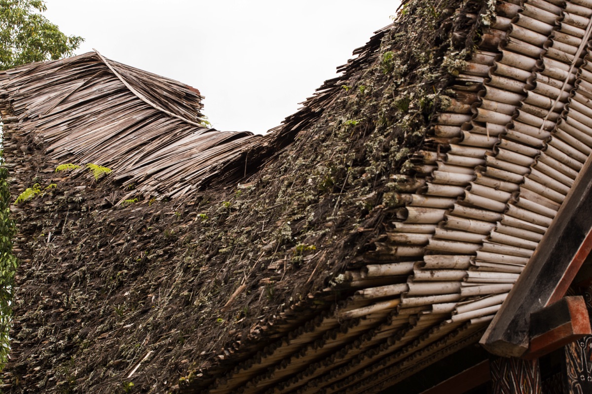 Tongkonan roof Toraja