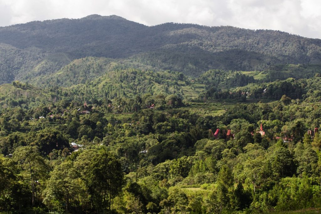 Baruppu' Toraja