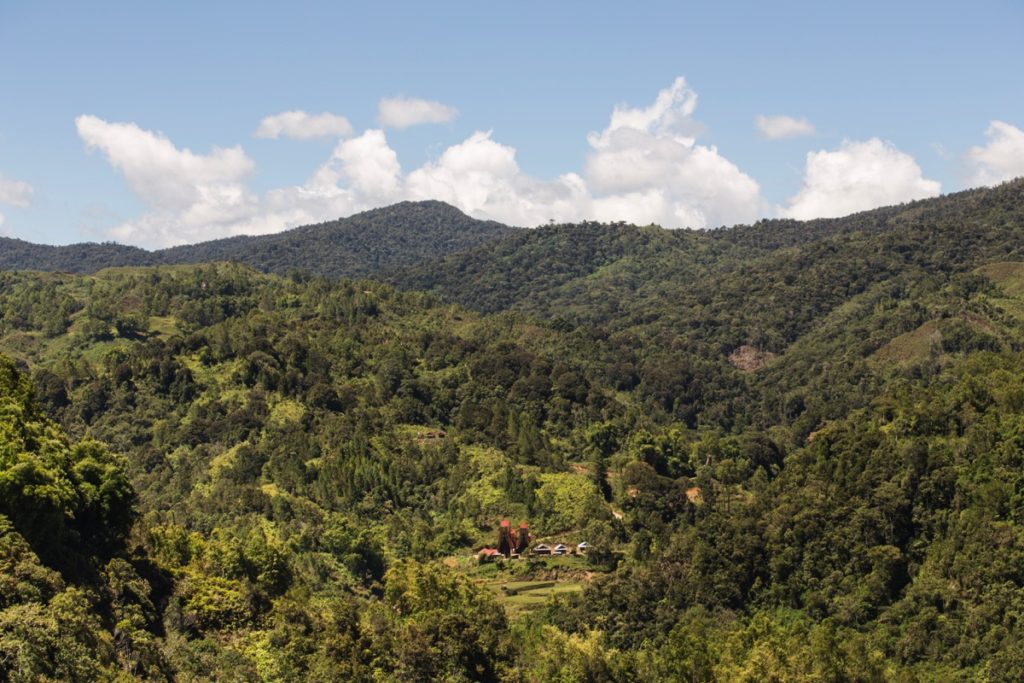 Toraja Baruppu'