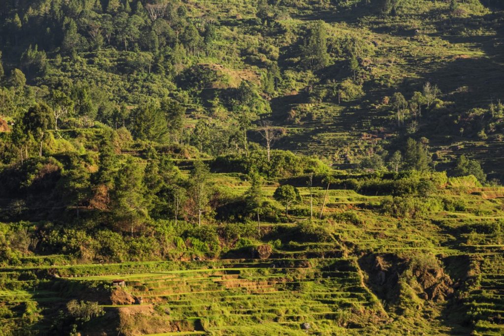 Sarambu Toraja