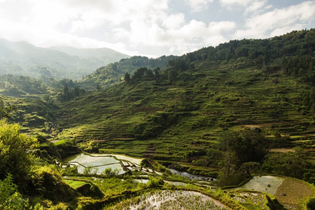 Sarambu Toraja