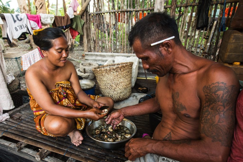 Hoga Wakatobi