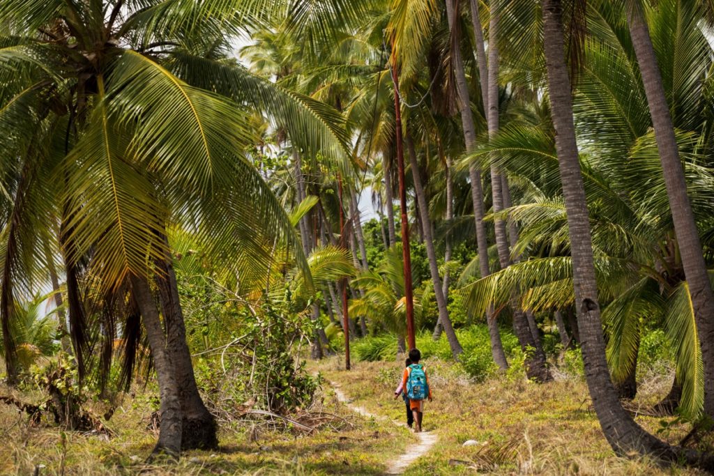 Hoga Wakatobi