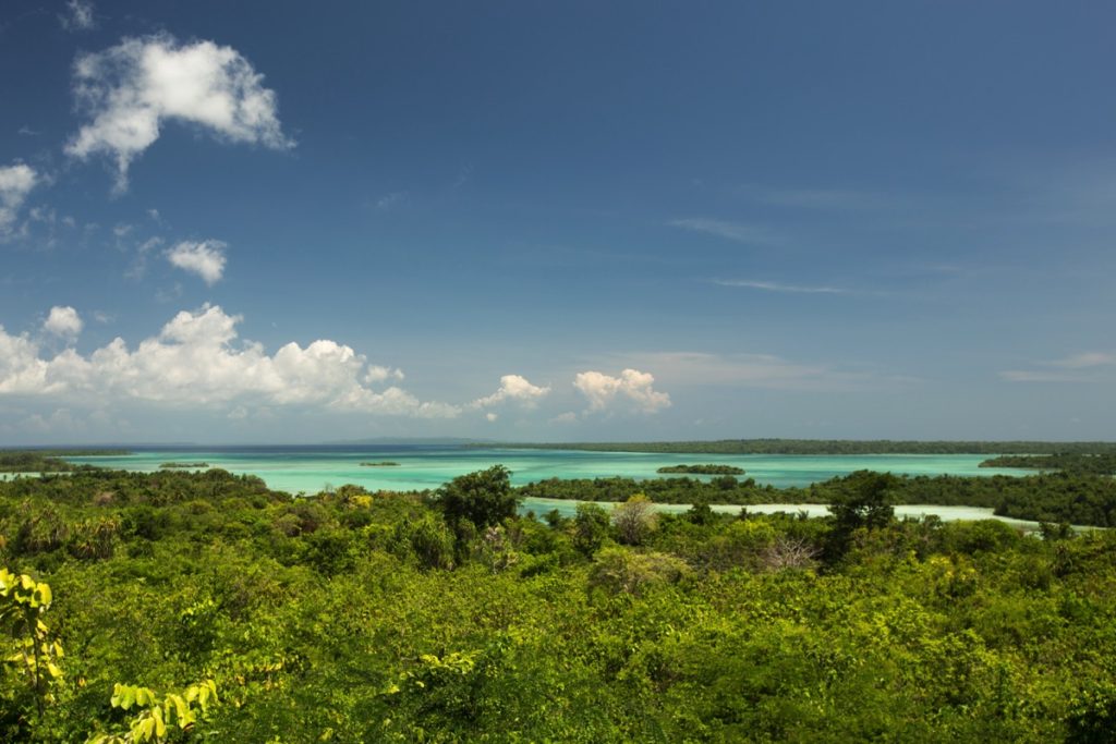 Wanci Wakatobi