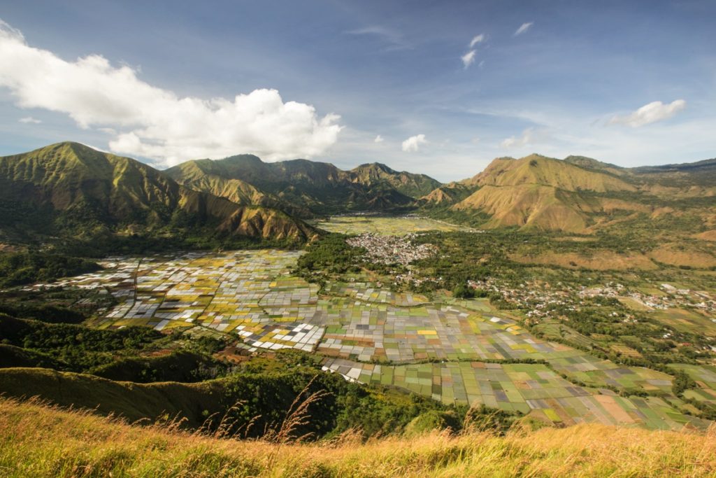 Bukit Pergasingan Lombok