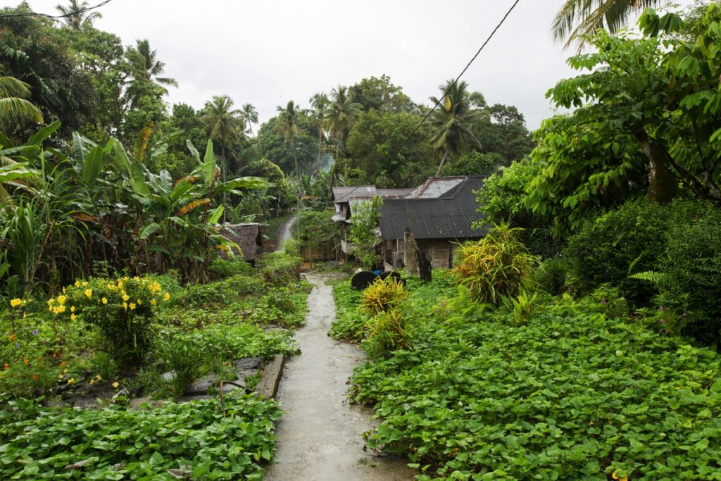 Lalai Nias