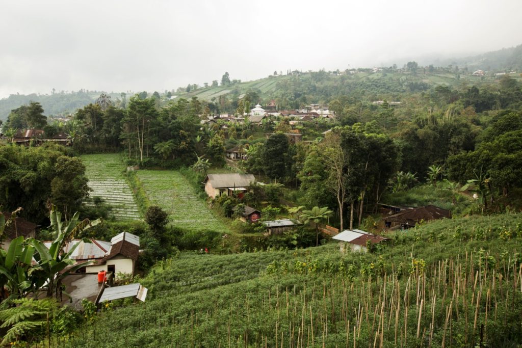 Solo countryside