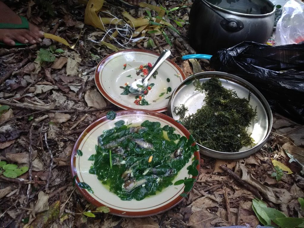 Makan Hutan