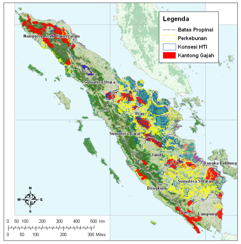 The Sumatran Elephant in 2020