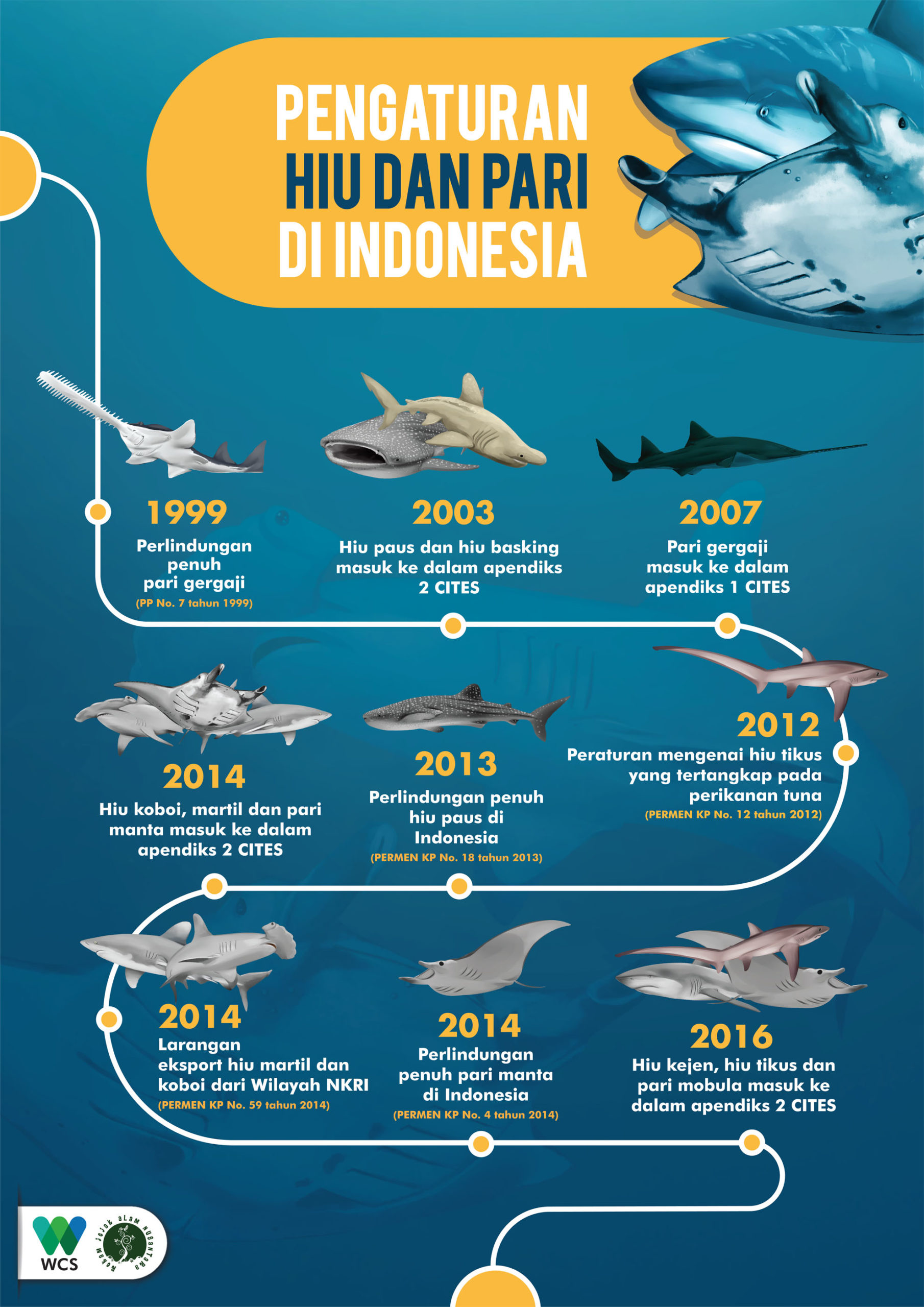 Clean Indonesian Oceans: A Birthday Wish - uot0jyw