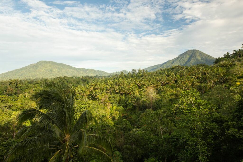 Tangkoko